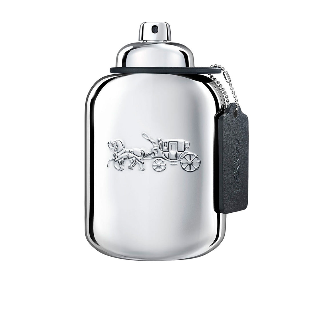 PLATINUM EDP - 100 ml