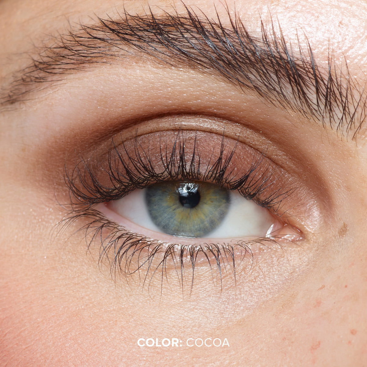 MAGNETIC MATTE EYE COLOR-MAGNETIC MATTE EYE COLOR - COCOA