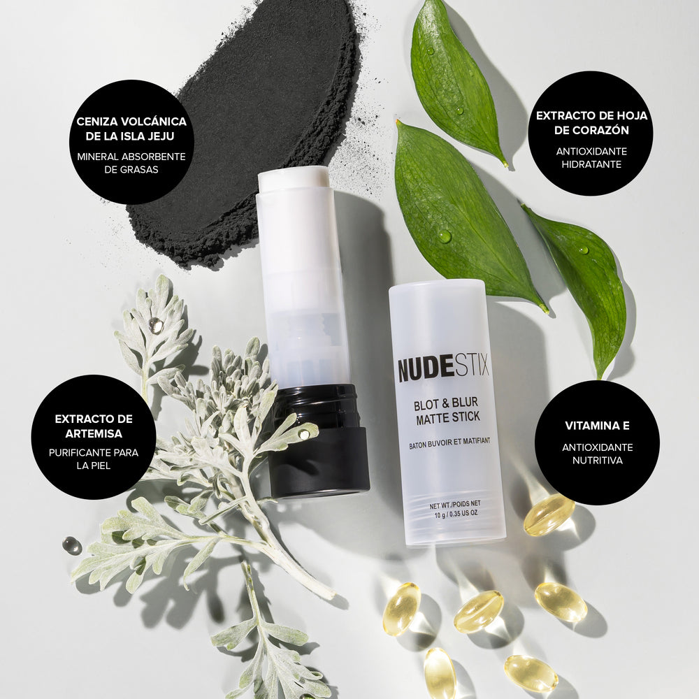 BLOT & BLUR MATTE STICK